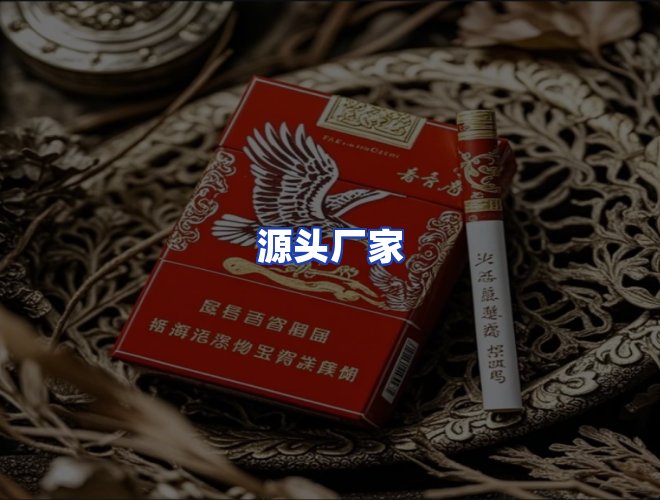 专业团队